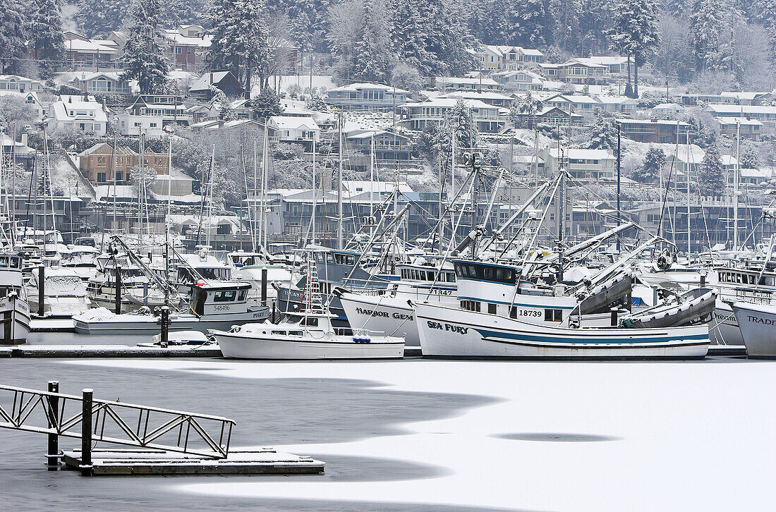 Docked fishing boats with snow in Gig Harbor,  Washington