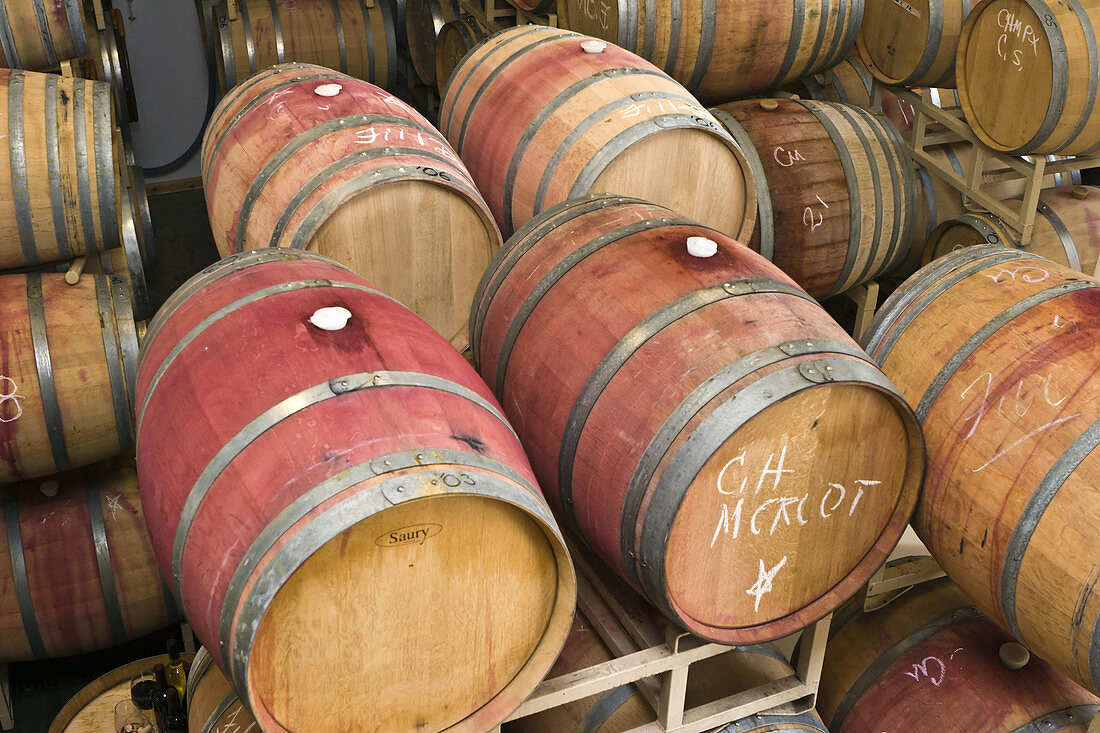 Red wine barrels in aging room