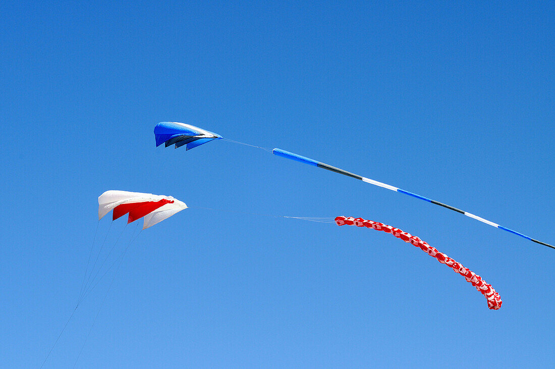 Two colorful kites flying against a clear blue sky