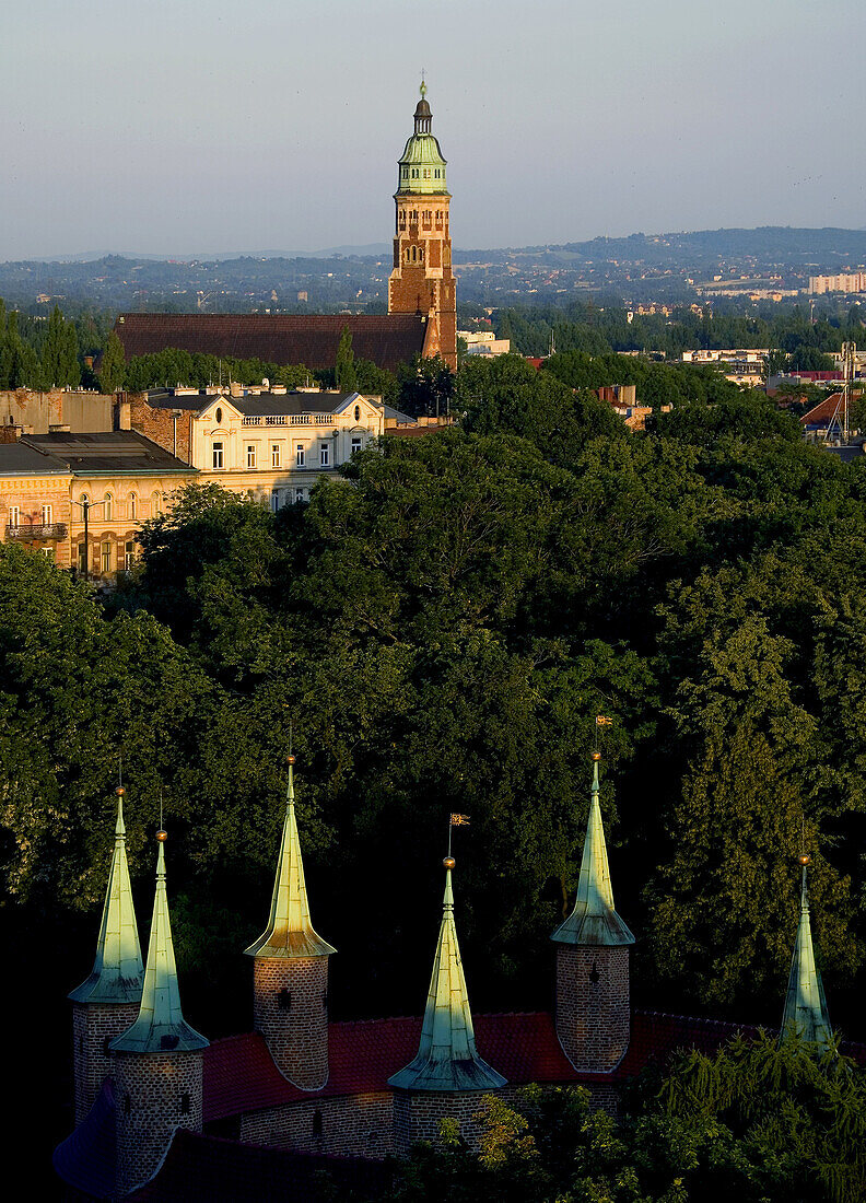 Jesuit,  church,  Krakow  Poland