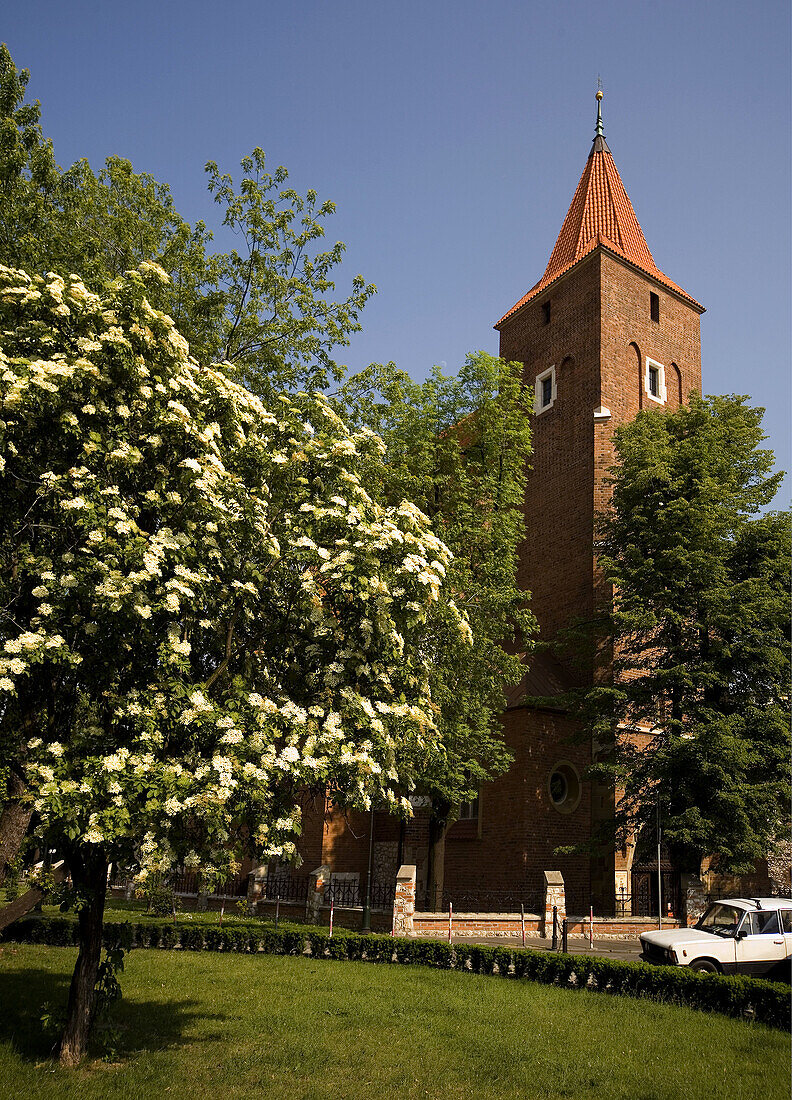 Poland Krakow Church of St Cross