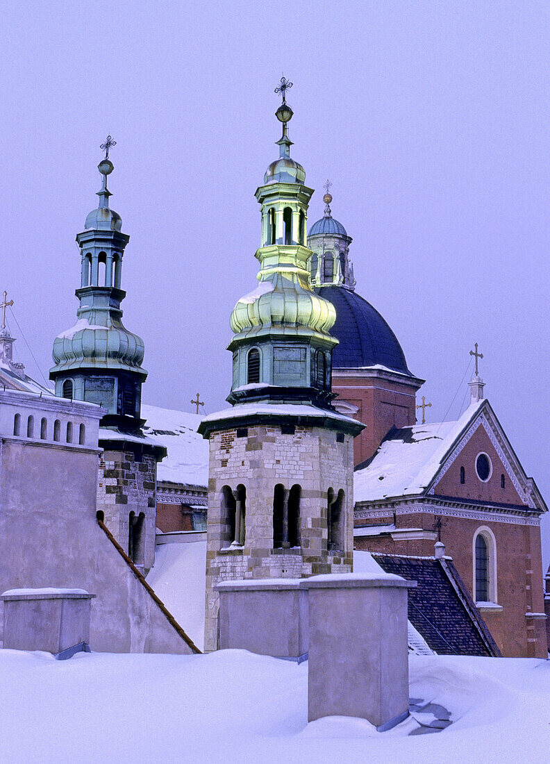 Poland,  Krakow,  St Peter & St Paul Church and Andrew Church at Grodzka street