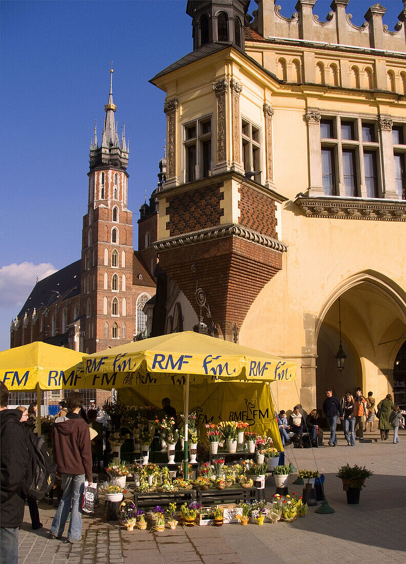 Poland,  Krakow,  flowers stall at Main Market Square