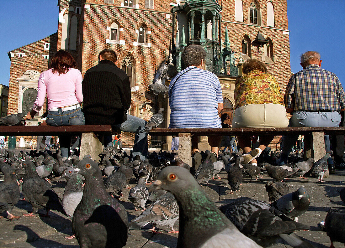 Poland,  Krakow,  Main Market Square,  pigeons and people