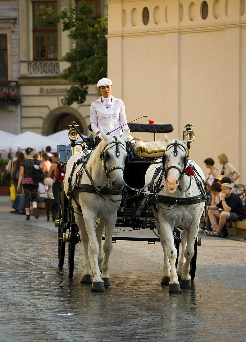Poland Krakow Carriage