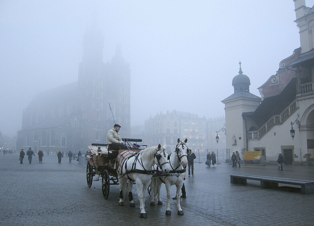 Poland,  Krakow,  Main Market Square,  carriage,  foggy day