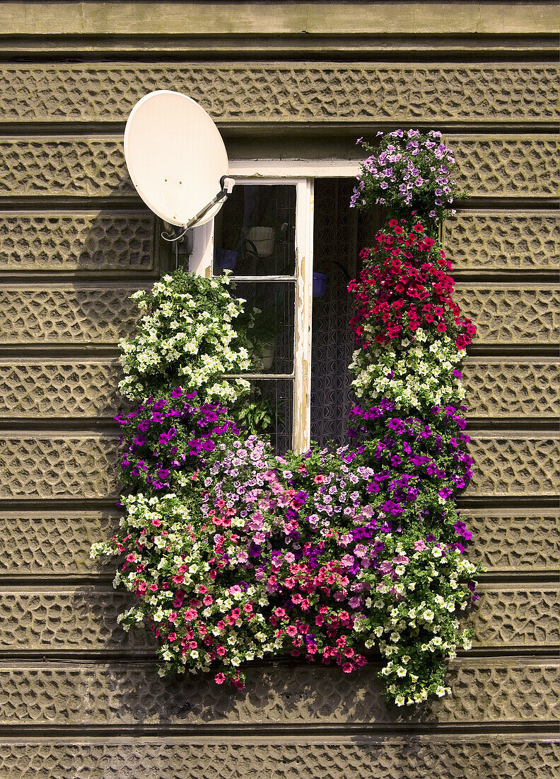 Polen, Krakau, dekorative Fenster
