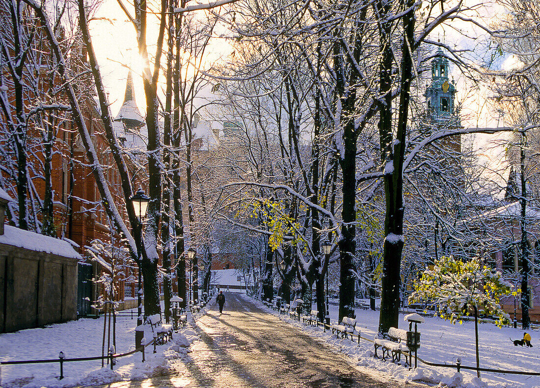 Poland,  Krakow,  Wawel Royal Castle from Planty,  winter