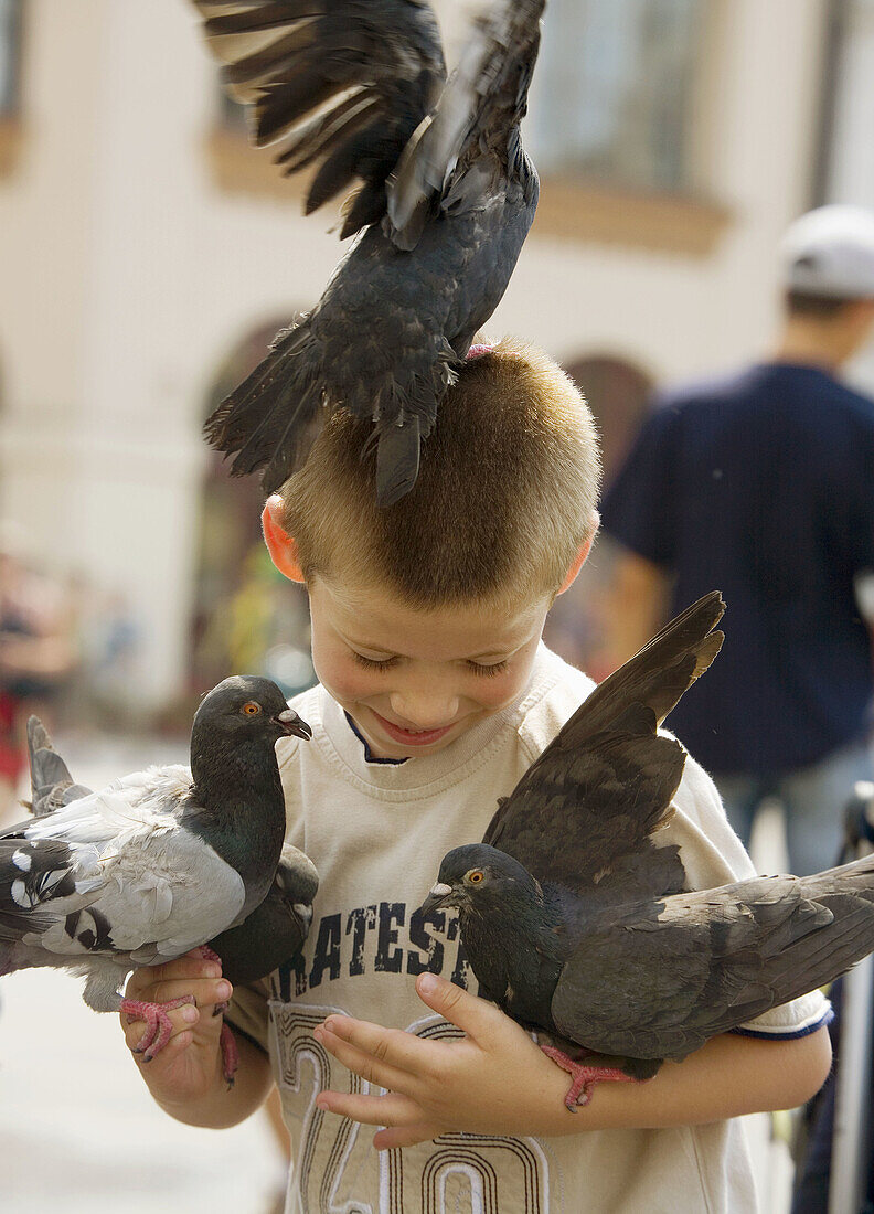 Poland,  Krakow,  Main Market Square,  pigeons and boy having fun