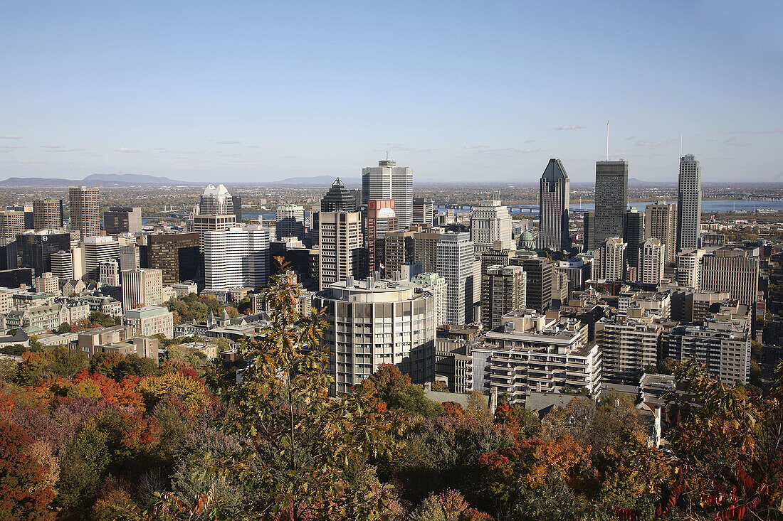 Canada,  Quebec,  Montreal,  skyline,  autumn foliage