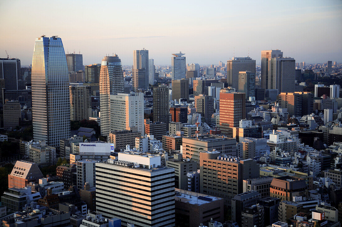 Japan,  Tokyo,  skyline,  general aerial view