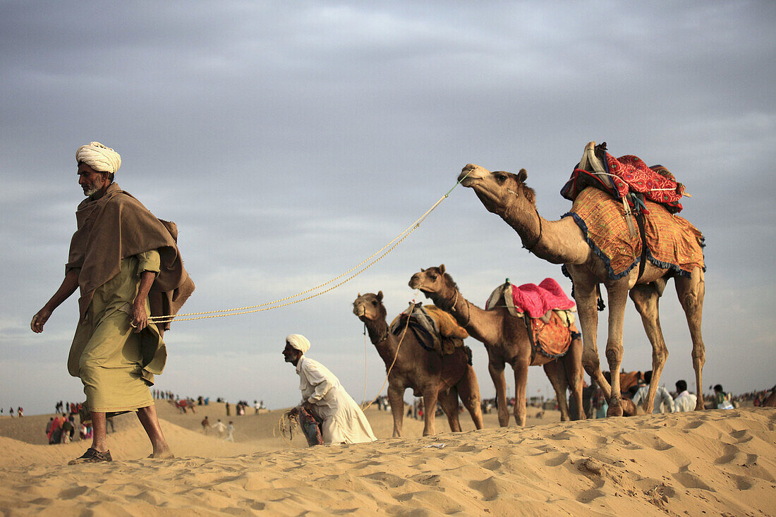 India,  Rajasthan,  Thar Desert,  Sam Sand Dunes,  people with camels