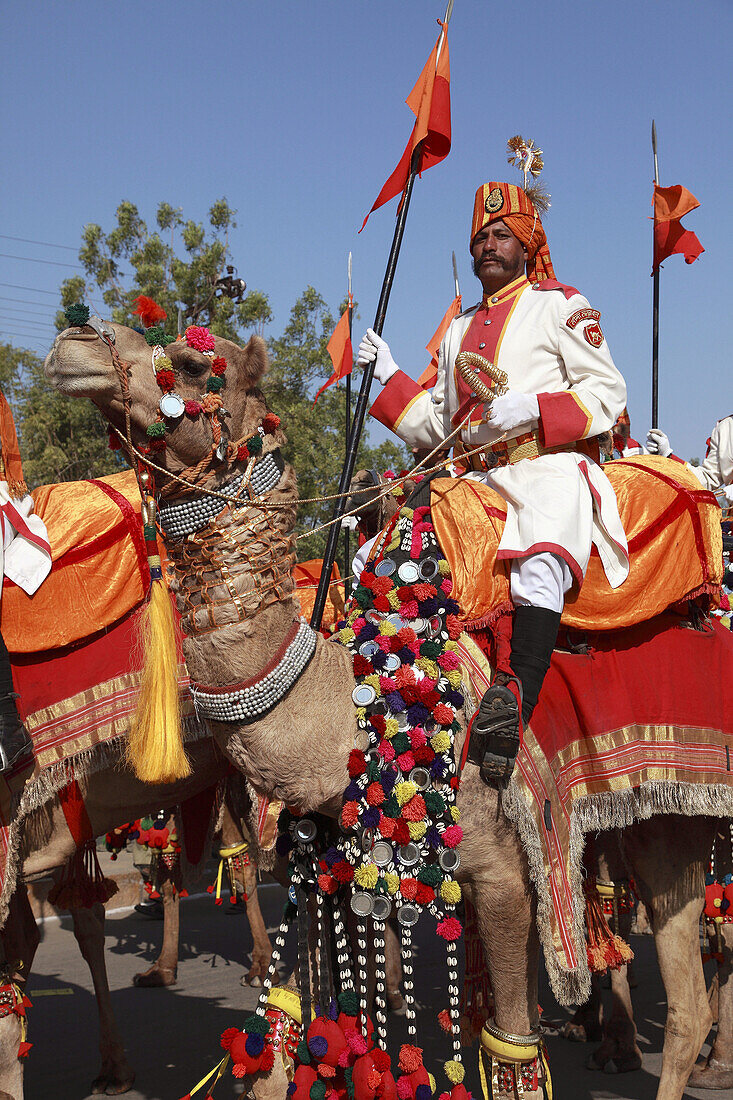 India,  Rajasthan,  Jaisalmer,  Desert Festival,  camel with driver