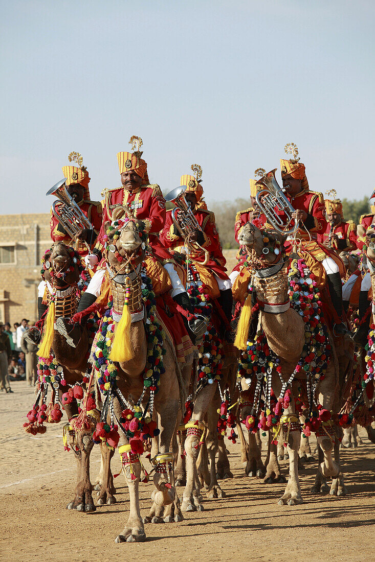 India,  Rajasthan,  Jaisalmer,  Desert Festival,  camel tattoo show