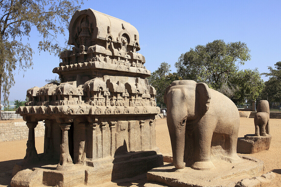 India,  Tamil Nadu,  Mamallapuram,  Mahabalipuram,  Five Rathas,  rock temple,  statues