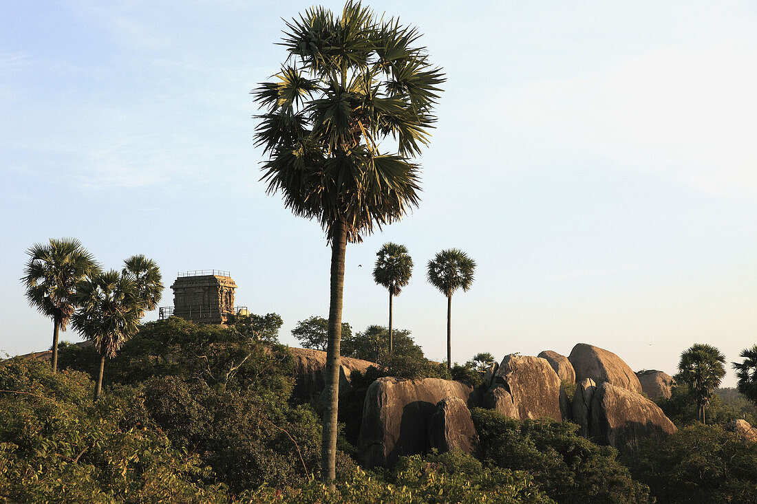 India,  Tamil Nadu,  Mamallapuram,  Mahabalipuram,  landscape