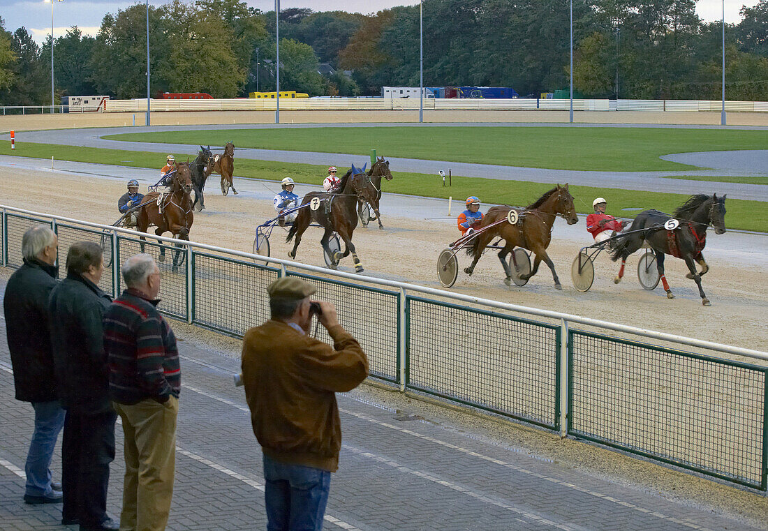 Trotting race at Dinslaken race-course, Dinslaken, Ruhrgebiet, North Rhine-Westphalia, Germany, Europe