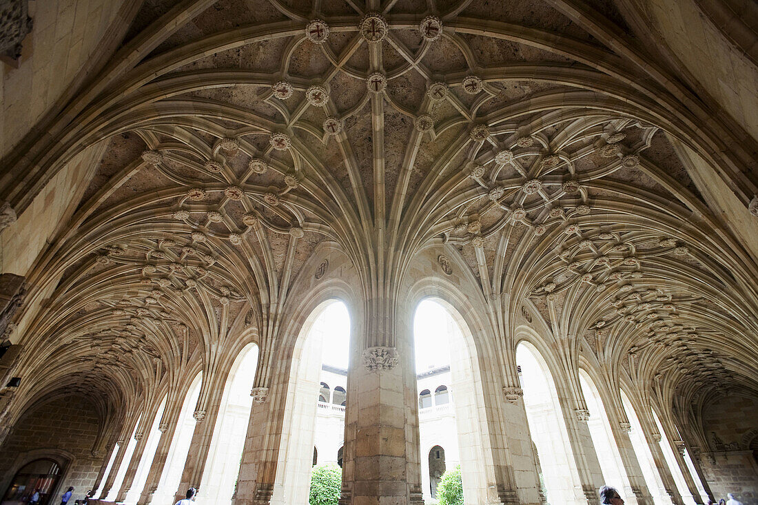 Star-shaped vault in the cloister of the old monastery and hospital of San Marcos,  Leon. Castilla-Leon,  Spain