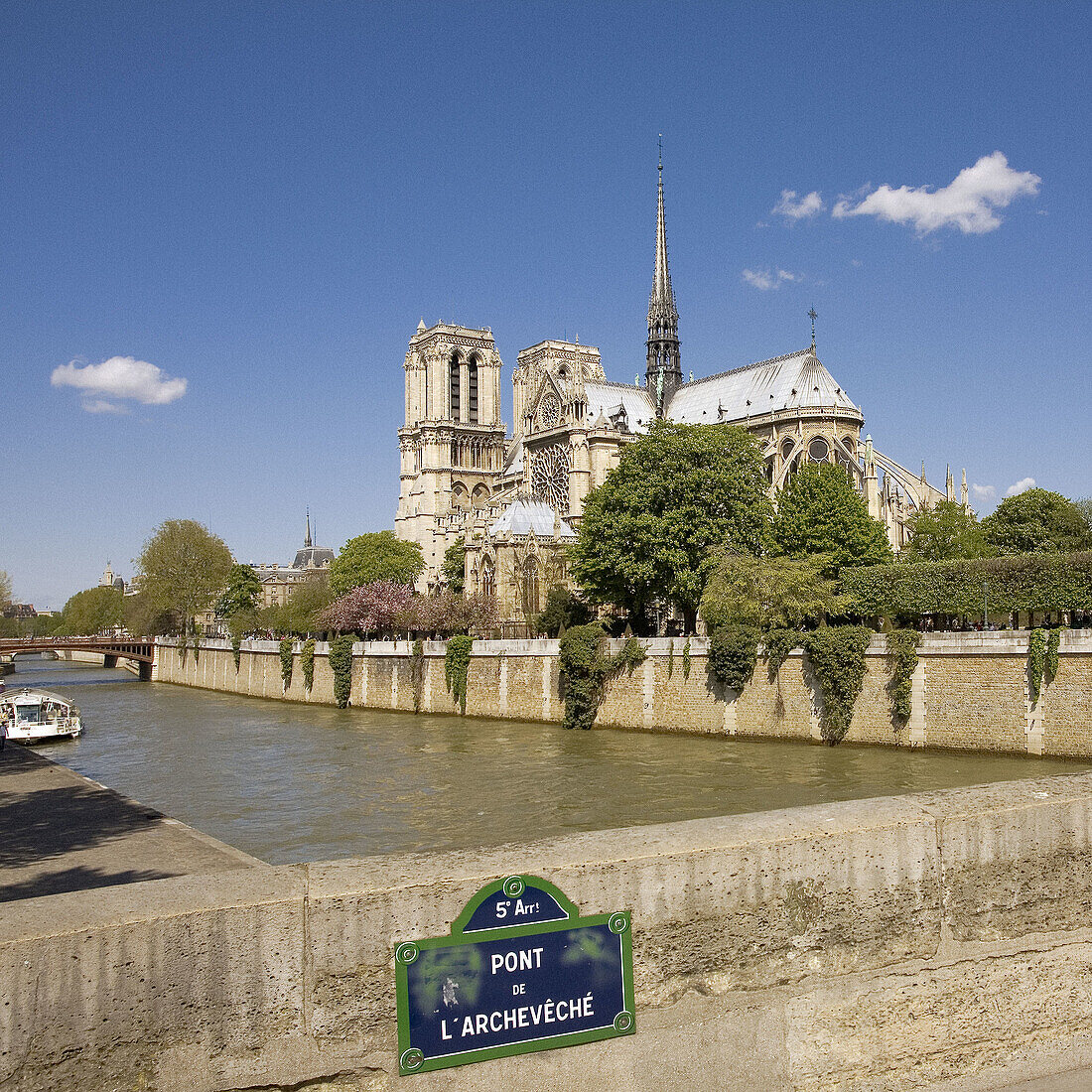 Notre Dame de Paris,  Ile de la Cité,  Paris,  France