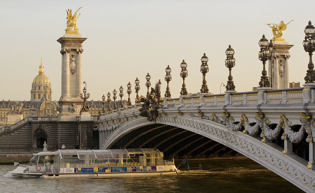 Alexander III bridge over the Seine River,  Paris,  France,  Europe