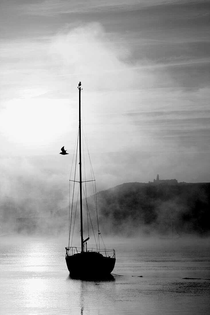 a sailing boat in kinsale harbour at sunrise with sea mist and james fort in the backround