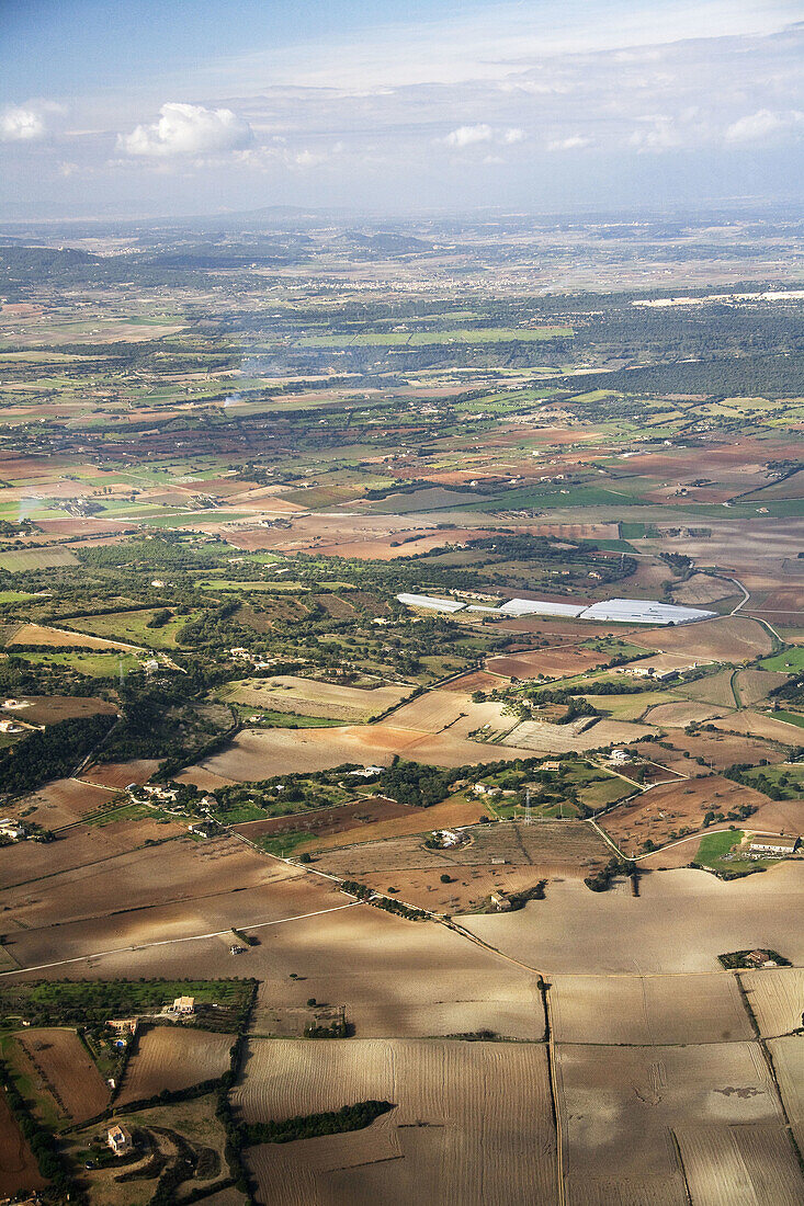 Spain,  Balearic Islands,  Mallorca,  paisaje agrícola entre Son Talent y Manacor