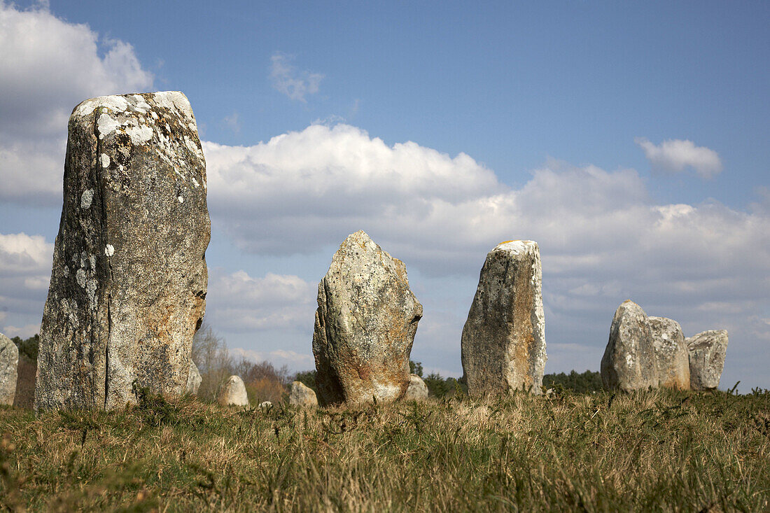 Alignments,  Carnac stones,  Carnac. Brittany,  France