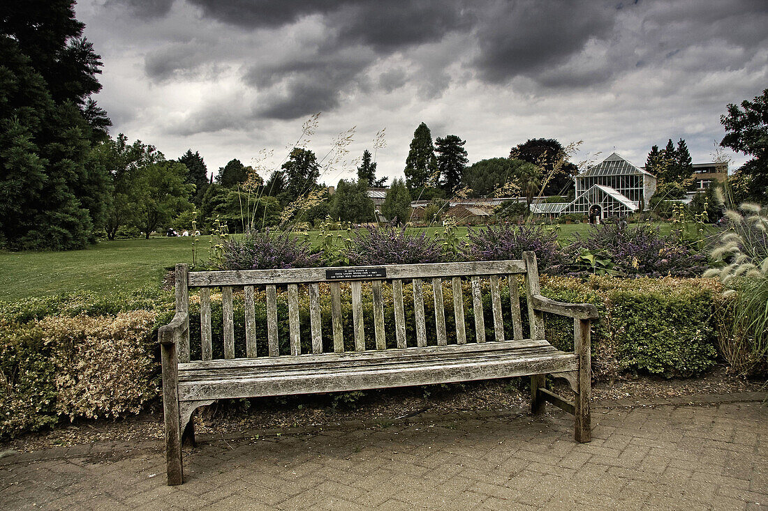 Jardín botánico en Cambridge,  Reino Unido.,  Botanical garden in Cambridge,  UK.
