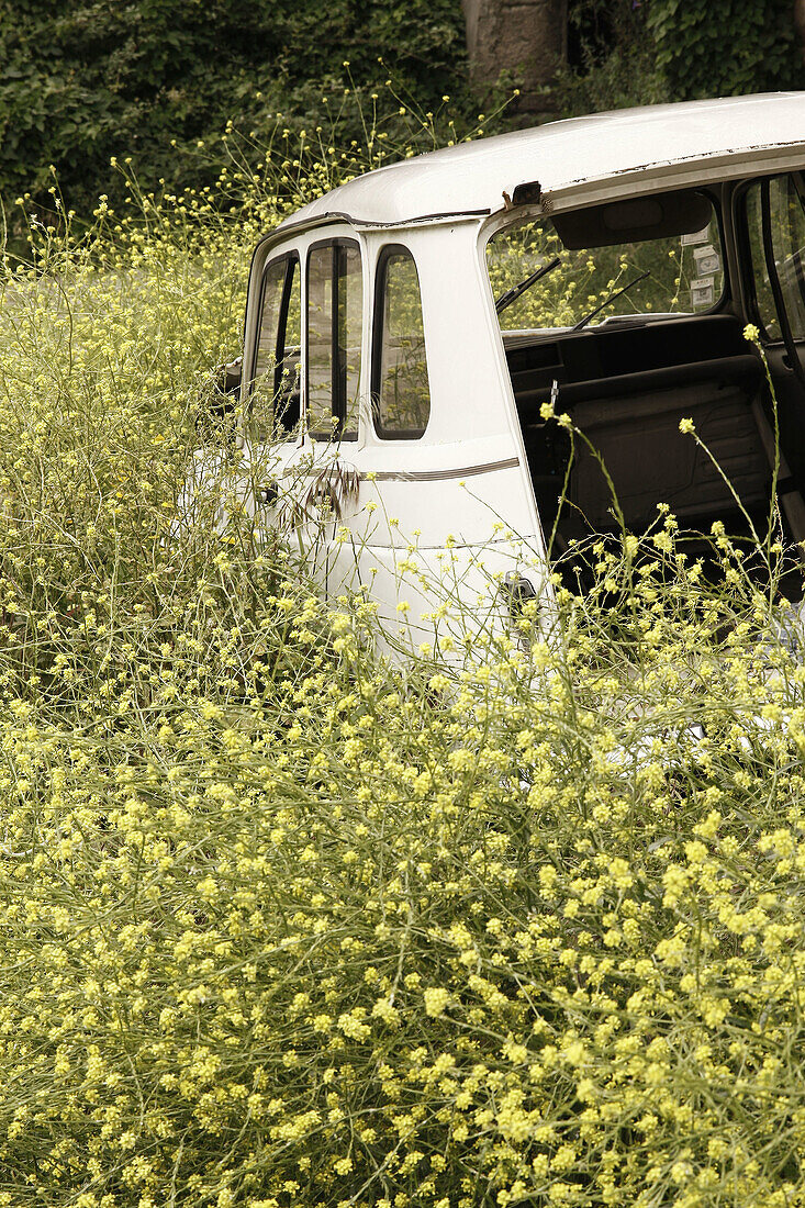 Abandoned car, North Portugal – License image – 70288037 lookphotos