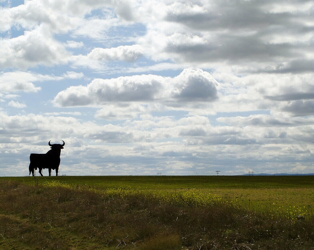 Bull silhouette,  typical advertising of Spanish sherry Osborne. Spain