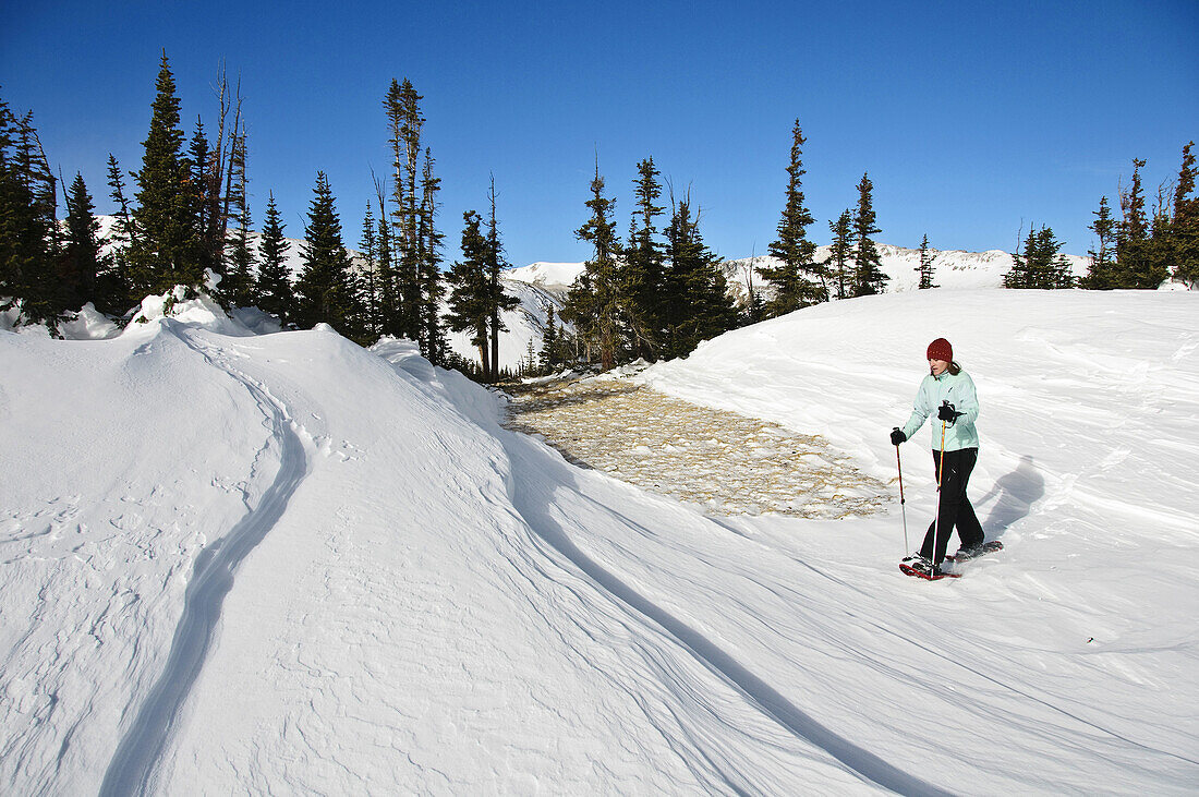 A woman snowshoeing on wind drifted snow near the continental divide Colorado,  United States