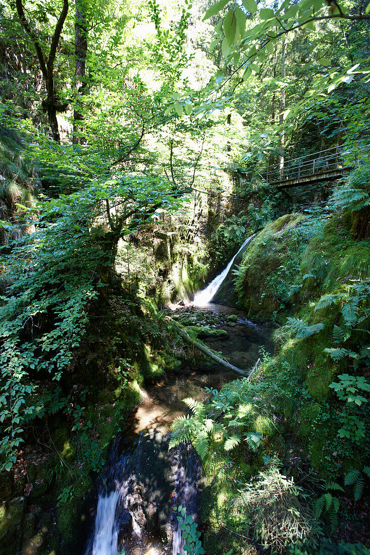 Allerheiligen-Wasserfälle, Oppenau, Schwarzwald, Baden-Württemberg, Deutschland