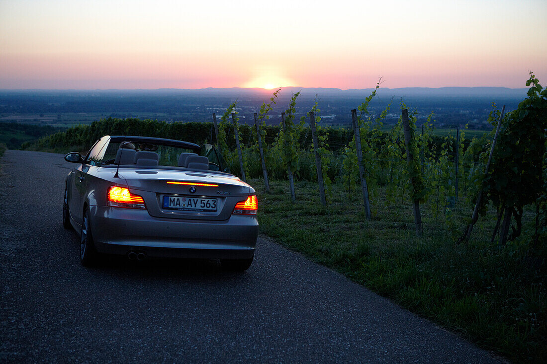 Cabrio zwischen Weinbergen im Sonnenuntergang, bei Baden-Baden, Baden-Württemberg, Deutschland