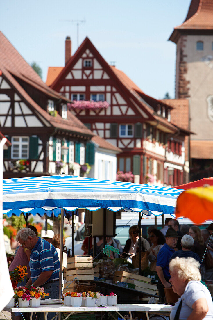 Market on marketplace, Gengenbach, Black Forest, Baden-Wuerttemberg, Germany