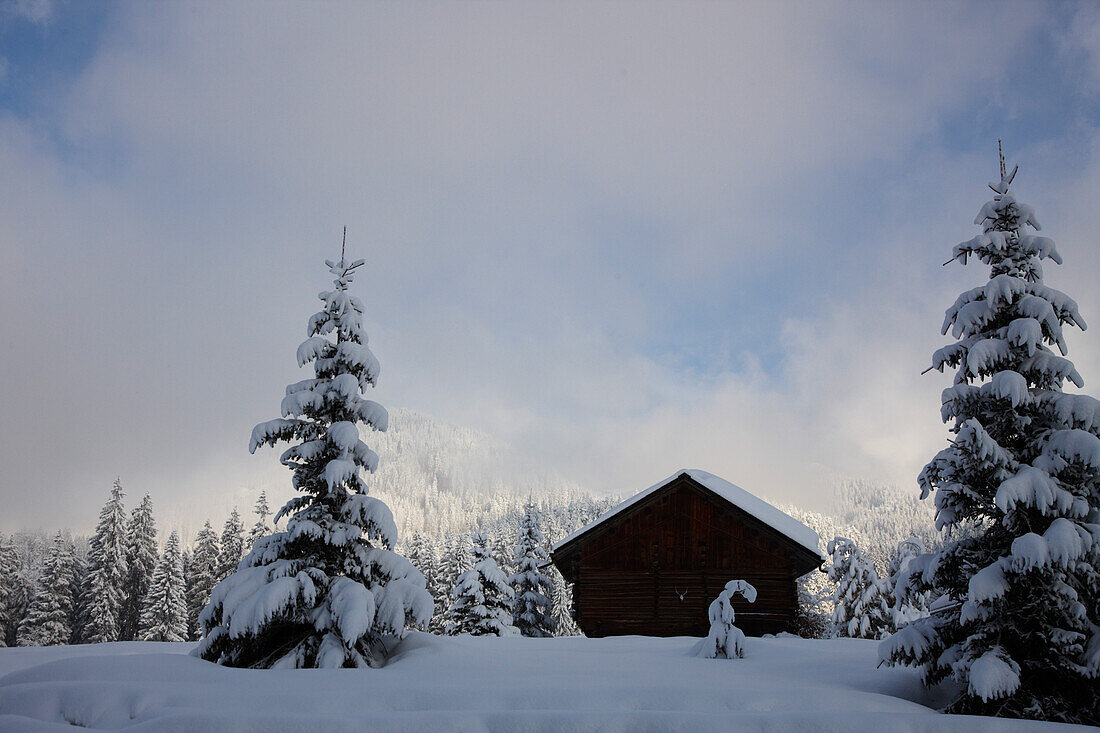 Verschneite Bockhütte, Flims Laax, Kanton Graubünden, Schweiz