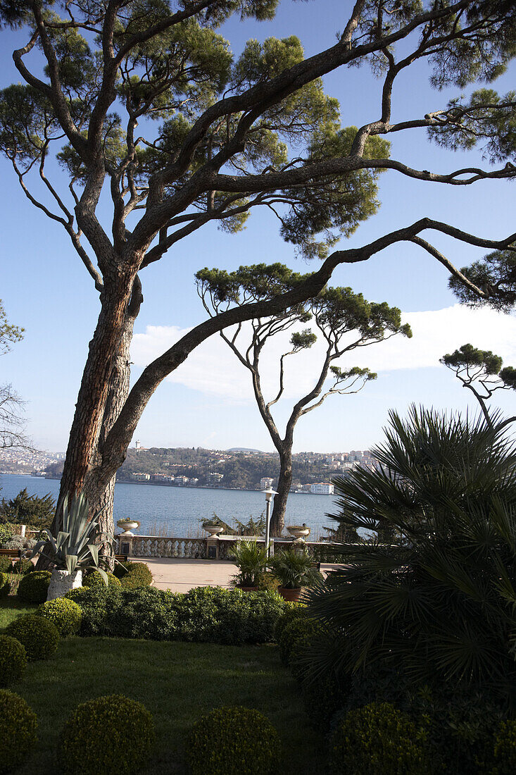 Garden near Café Müzedechanga, Istanbul, Turkey