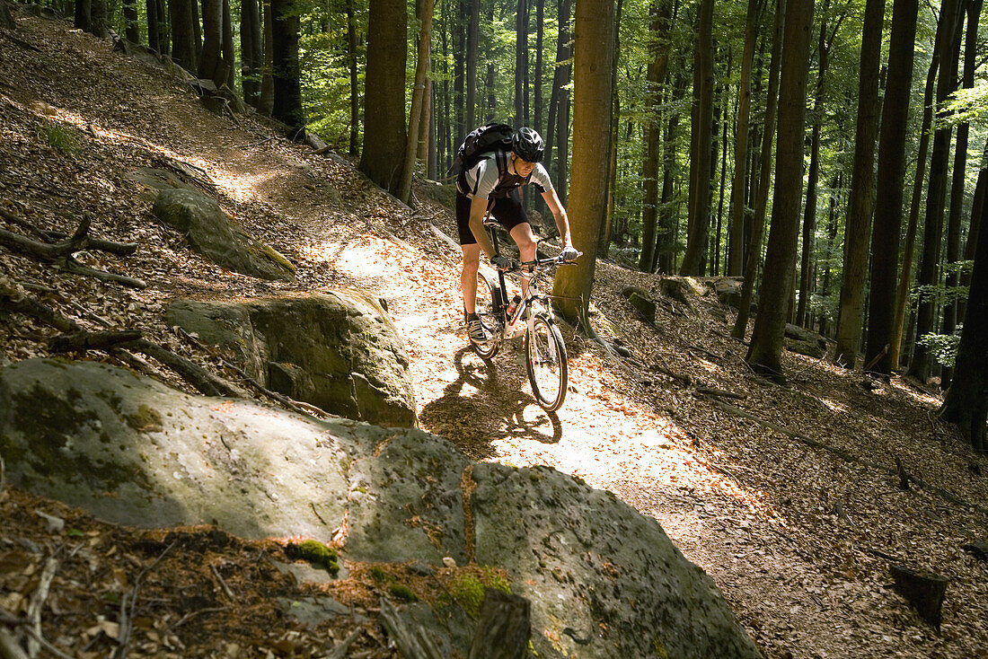 Mountain biker passing forest trail, Palatine Forest, Rhineland-Palentine, Germany