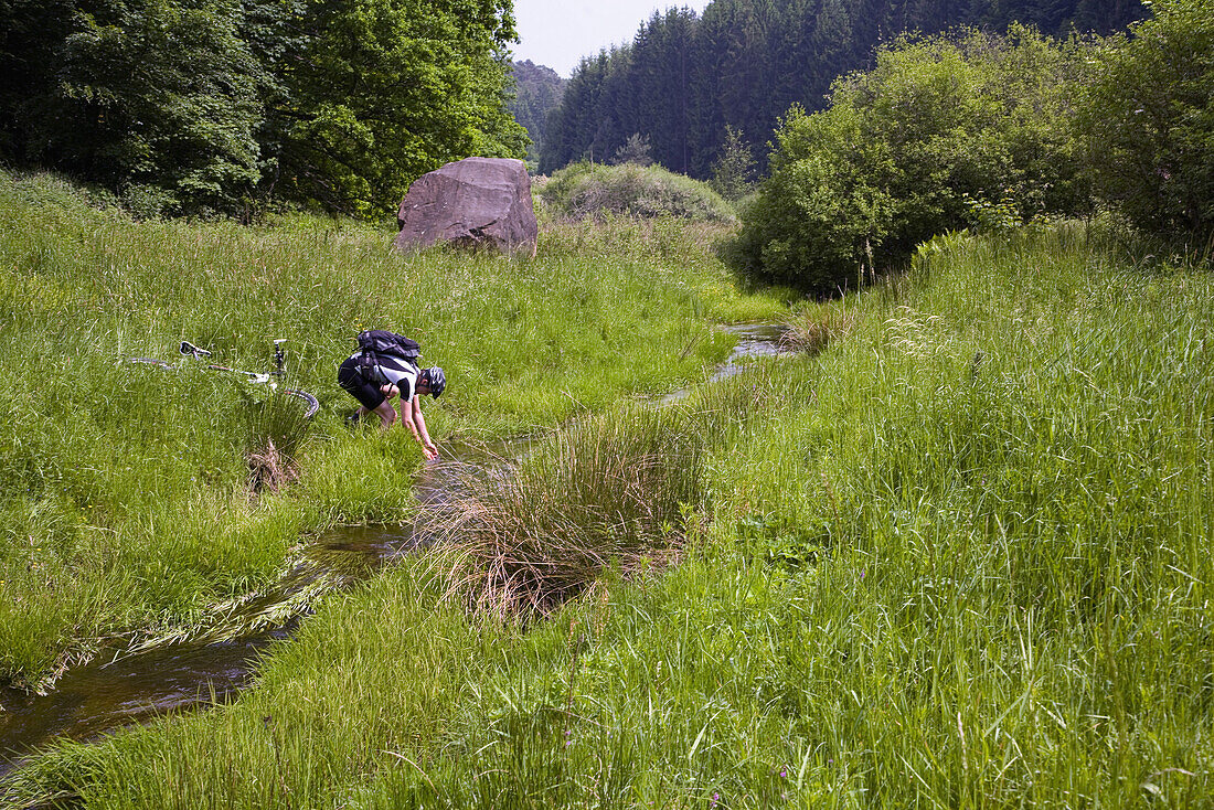 Mountain biker refreshing at stream, Neuhoefer Valley, Palatine Forest, Rhineland-Palentine, Germany