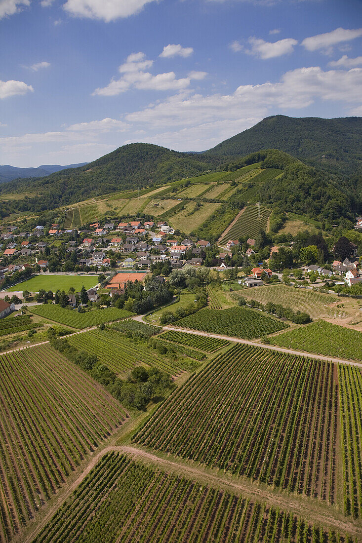 Weinberge und Felder, Pfälzerwald, Rheinland-Pfalz, Deutschland
