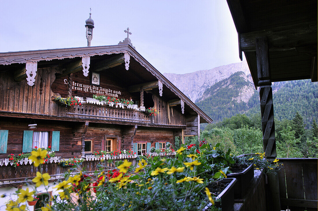Farm Hinterkaiserhof, Kaisertal, Ebbs, Tyrol, Austria