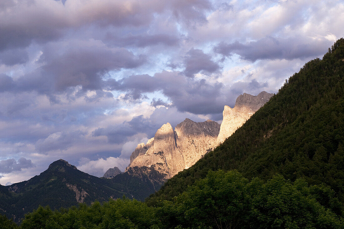 Mountain ridge Wilder Kaiser, Kaisertal, Ebbs, Tyrol, Austria