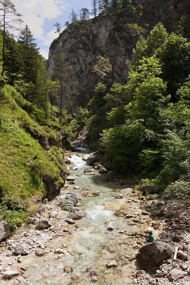 Gebirgsbach bei Tischofer Höhle, Kaisertal, Ebbs, Tirol, Österreich