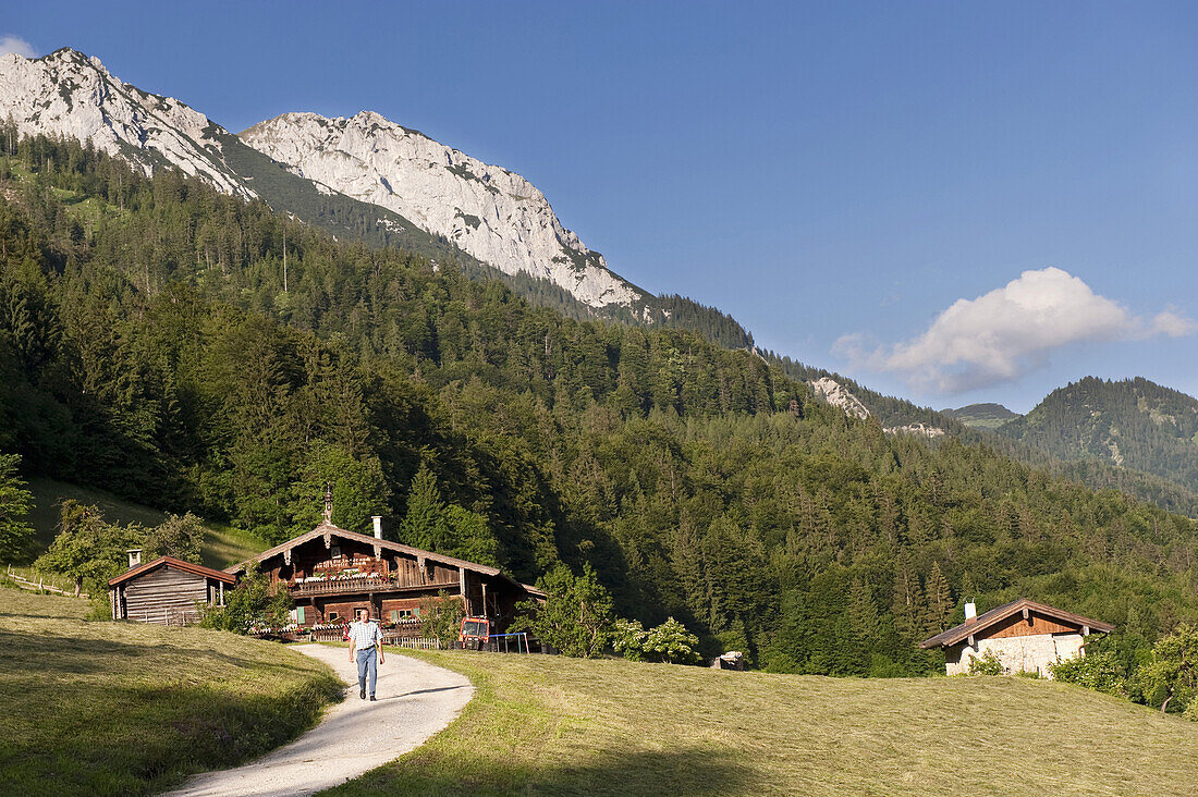 Hinterkaiserhof vor Bergpanorama, Kaisertal, Ebbs, Tirol, Österreich