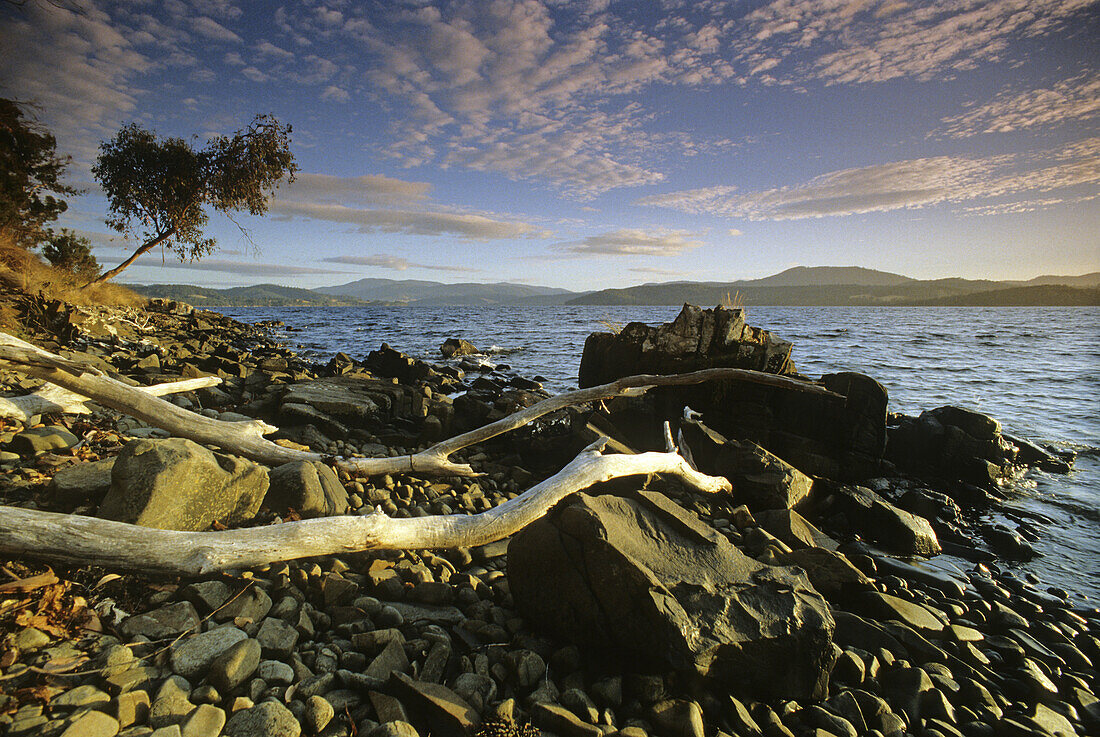 Morgenstimmung am felsigen Ufer des Huon River, Tasmanien, Australien