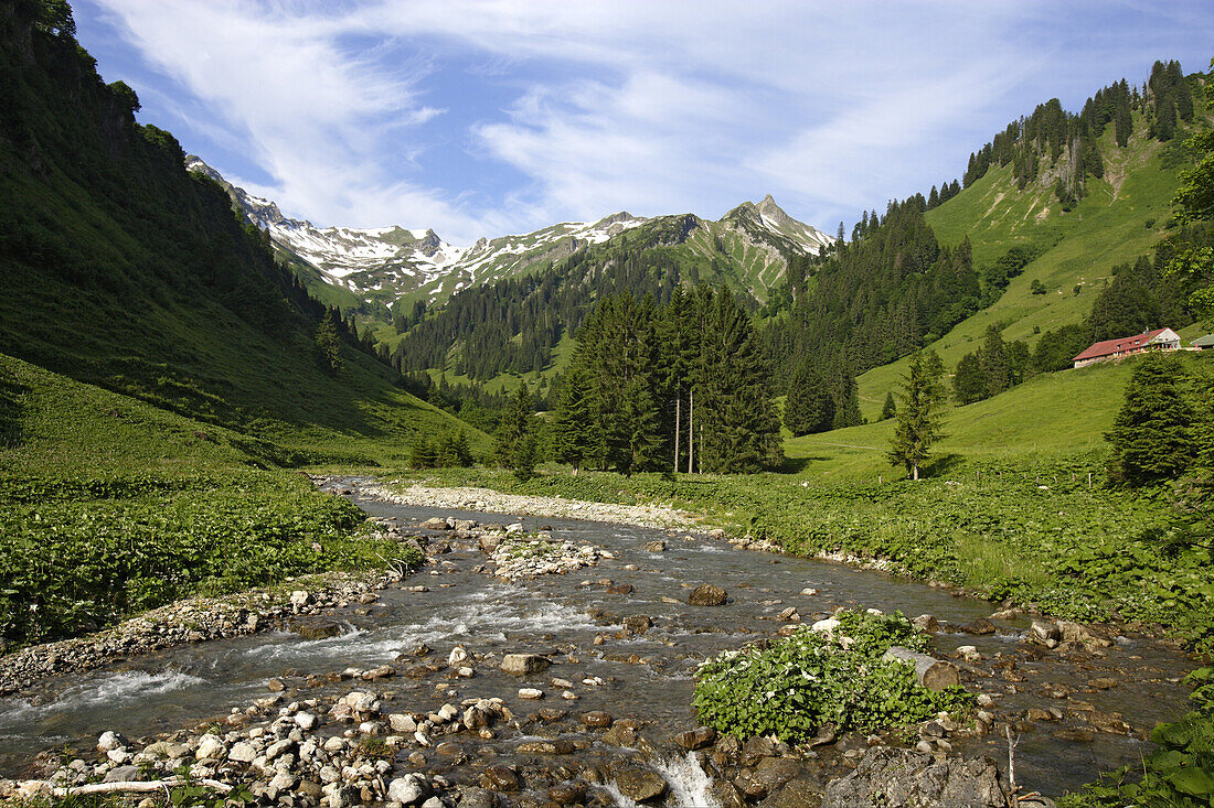 Laufbichl Alpe in Hintersteiner Tal, Bad Hindelang, Allgau, Swabia, Bavaria, Germany