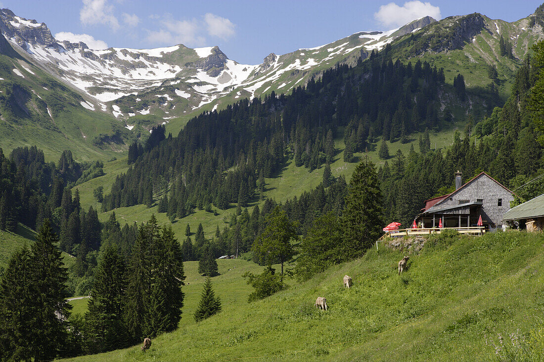 Alpine dairy Laufbichl Alpe in Hintersteiner Tal, Bad Hindelang, Allgau, Swabia, Bavaria, Germany