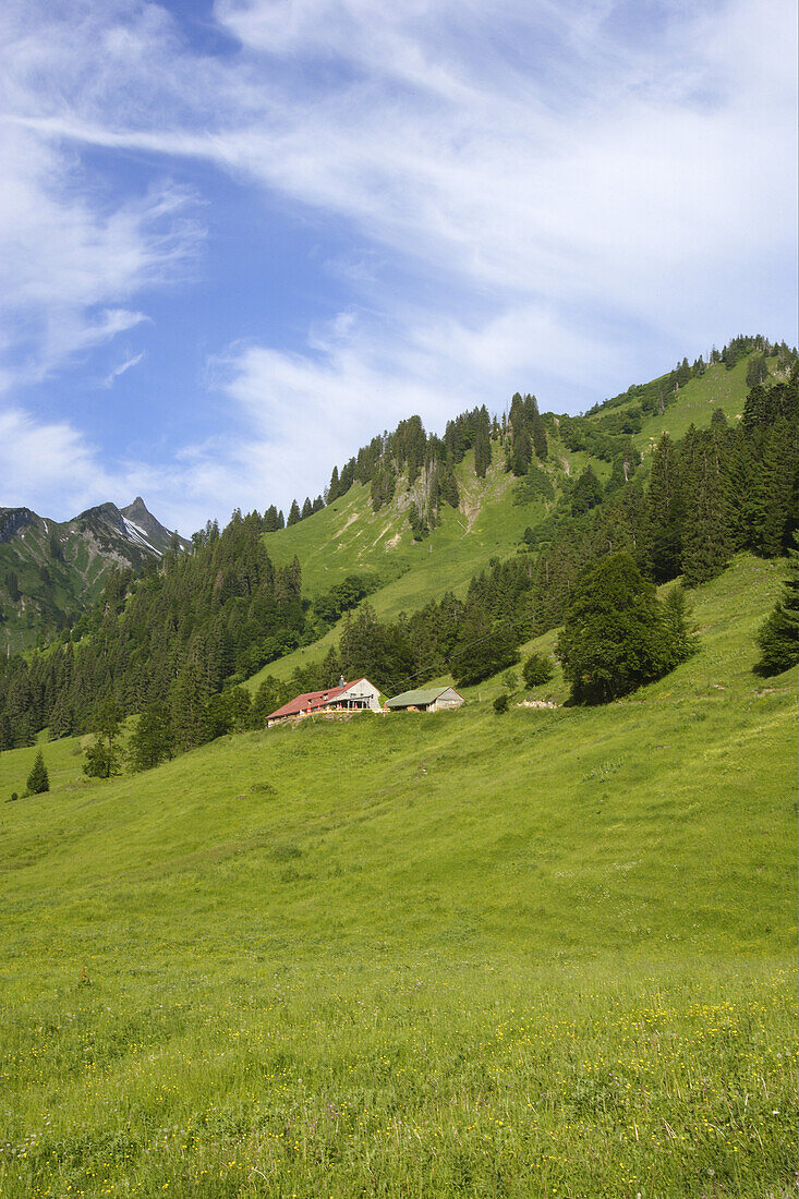 Laufbichl Alpe, Hinterstein Valley, Bad Hindelang, Allgau, Swabia, Bavaria, Germany