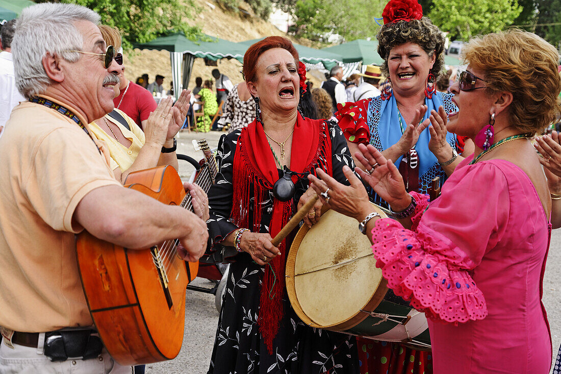 Andalusian celebration, Romeria, Madrid, Spain