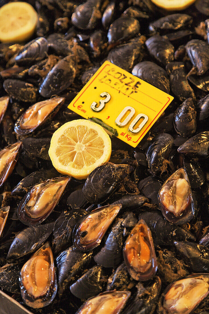 Fresh shells offered on fish market, Catania, Sicily, Italy