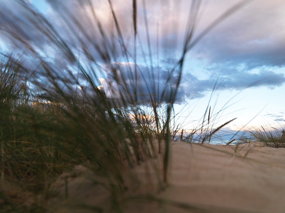 Sand dunes, Great Oyster Bay, Tasmania, Australia